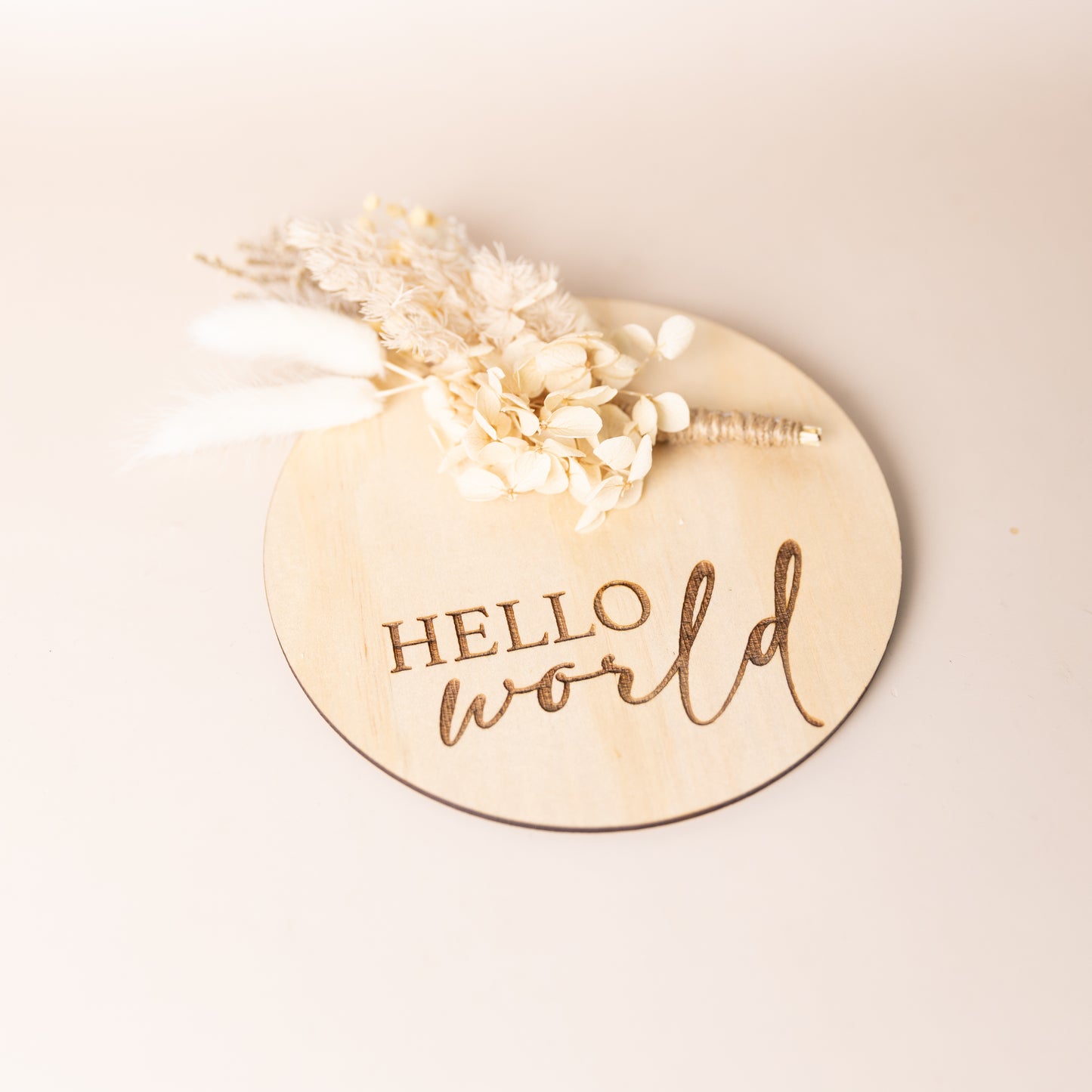 Hello World Posie Plaques