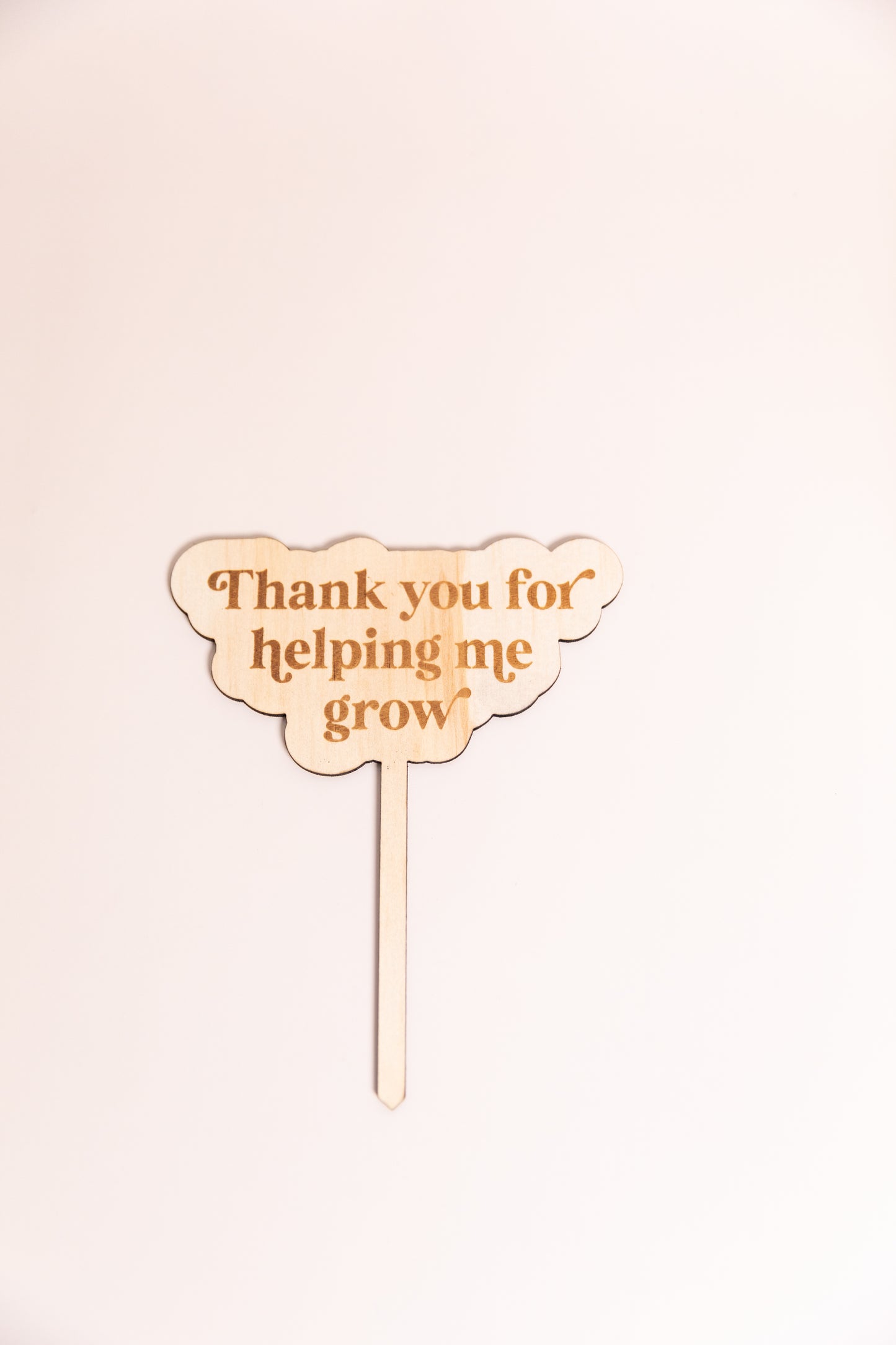 Teacher Gift Garden/flower spoke